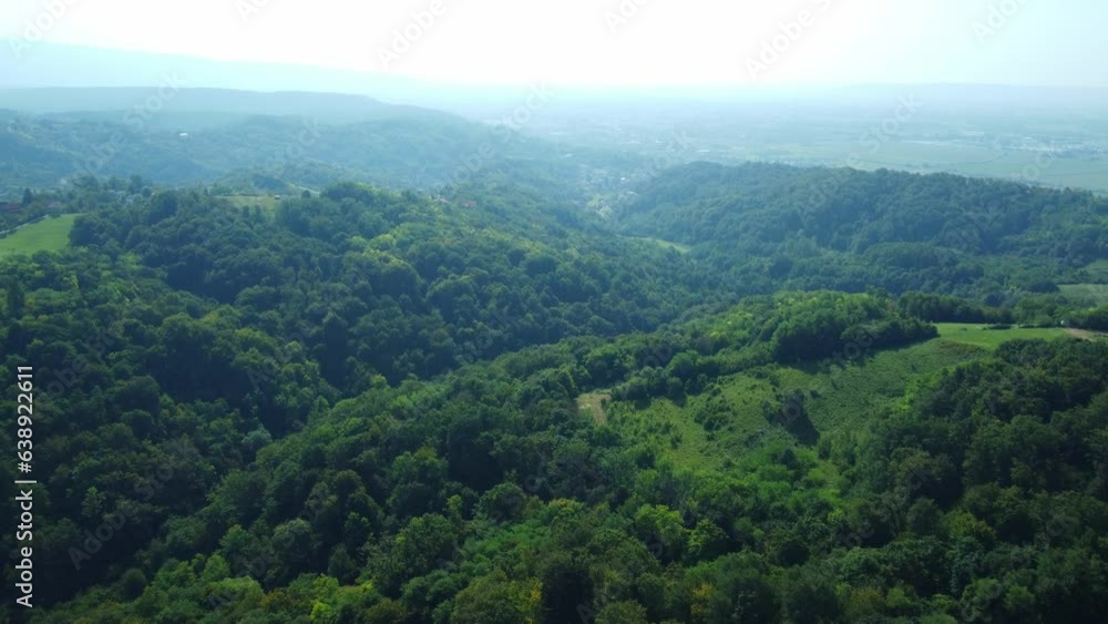 deciduous forest, late summer, shot by drone, approximately 30 meters above, late morning, almost vertical angle of view deciduous forest, late summer, shot by drone, approximately 30 meters above, late morning, almost vertical angle of view