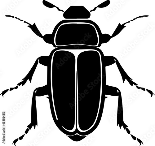 Photographie bombardier beetle icon 2