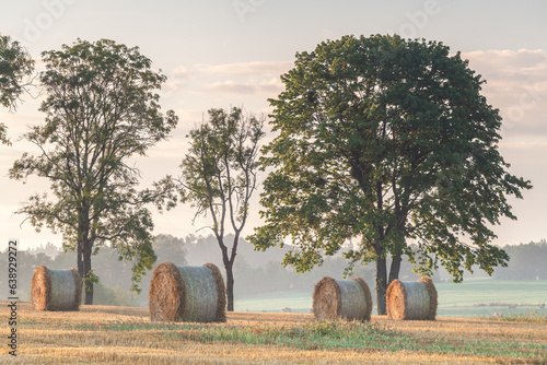 Fototapeta Naklejka Na Ścianę i Meble -  View of the Masurian fields.