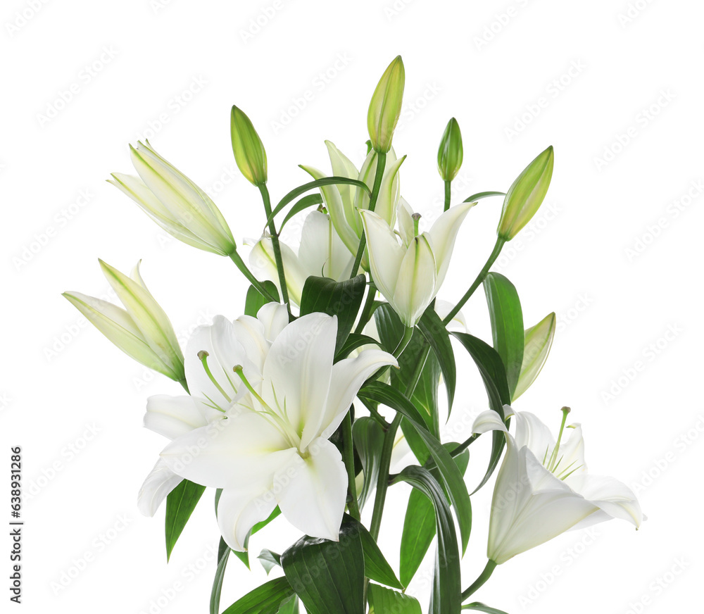 Beautiful bouquet of lily flowers isolated on white