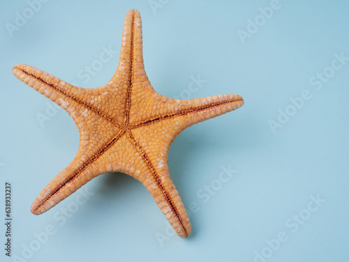 Summer concept with seashells and starfish on pastel blue background. Top view, flat lay        © Mikhail