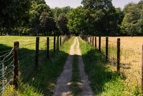 A dirt road between wire fences  summer in the Netherlands  The Hague