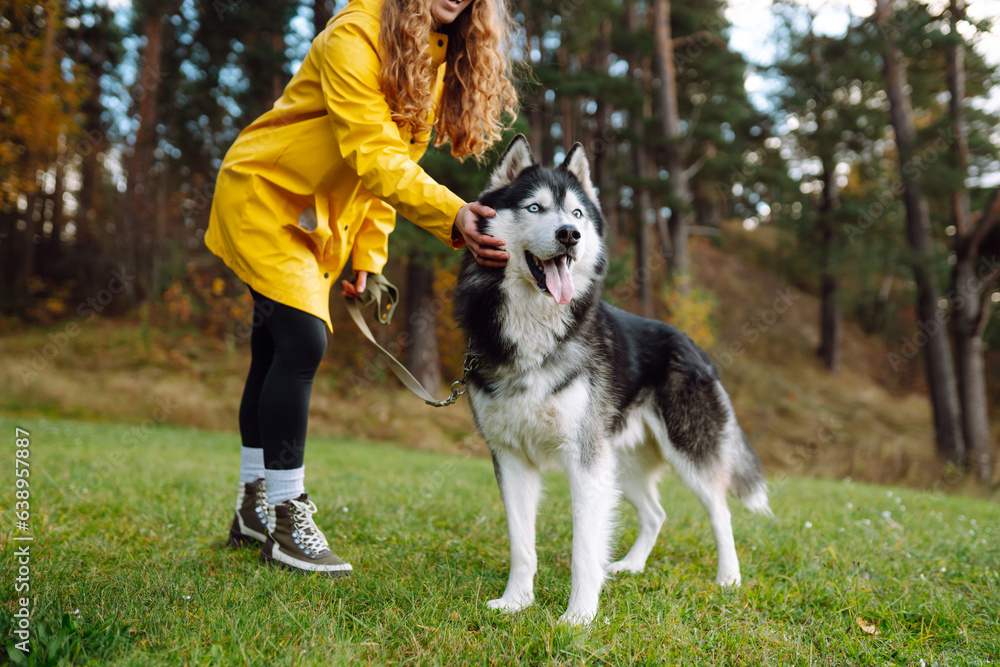 Beautiful young woman in a hat and yellow coat walks with her husky on the lawn in the park. Happy female posing outdoors with her dog. Concept of friendship, vacation, walk. Beautiful young woman in a hat and yellow coat walks with her husky on the lawn in the park. Happy female posing outdoors with her dog. Concept of friendship, vacation, walk.