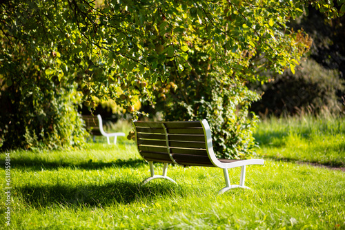 Fotografie White benches in an idyllic garden in Sauerland, Germany