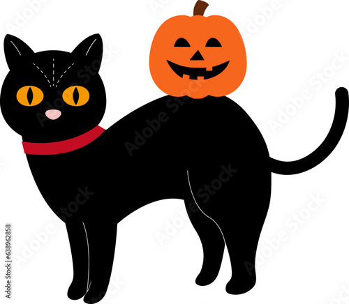 halloween black cat