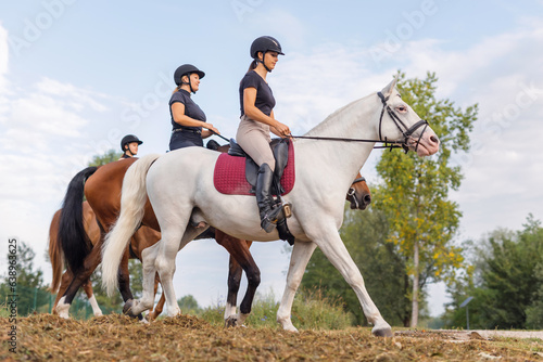 Horsewomen riding beautiful horses along the trail at the equestrian center on a bright summer day. Horse gait walks concept. © 24K-Production
