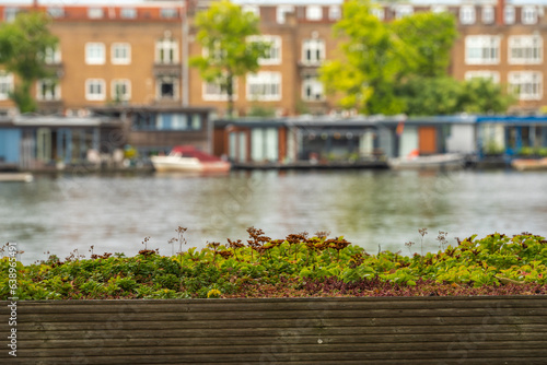 Detail of green, living roof with variety of plants. River Amstel and houseboats in the background, selective focus photo