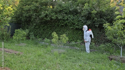 A woman in protective glasses, spraying fungicides on a flowering fruit tree against plant diseases and pests. A rechargeable dispenser with pesticides in the garden is used