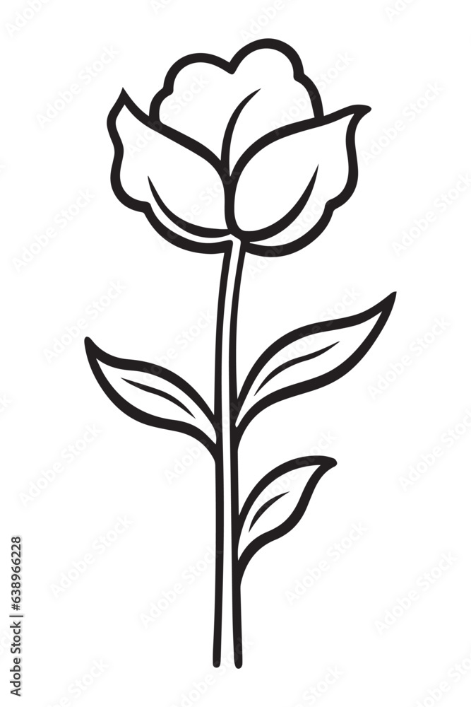 black and white rose black and white rose