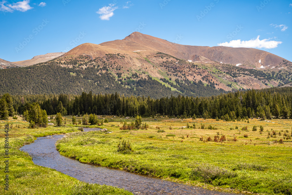 View of meadow with stream and mountain, Yosemite National Park