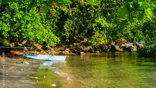 fishing boat under a tree on the beach