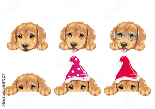 Cute peeking golden retriever puppy
