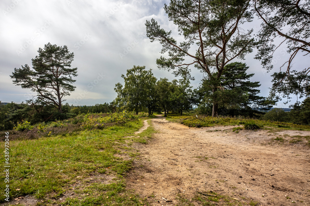 Landscape Impression and hiking trail of mount Boxberg, Aukrug in Schleswig-Holstein, Germany, in summer outdoors