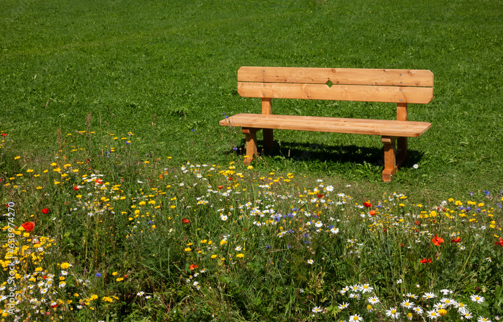 Fototapeta premium Wooden park bench in grass in front of flower meadow in blossom 