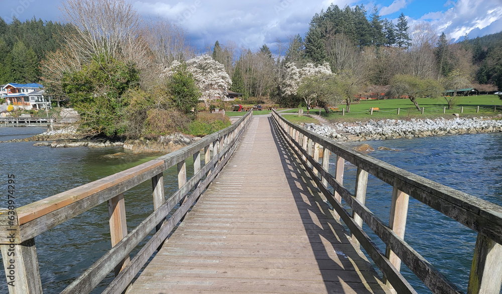 Wooden pier in the park at spring time