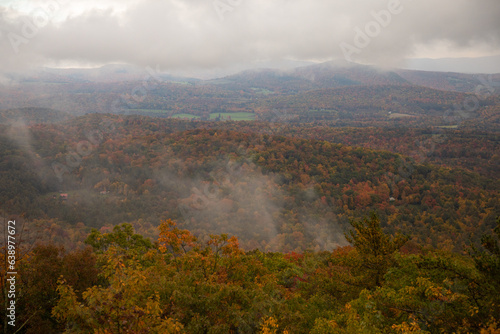 Fall Foliage