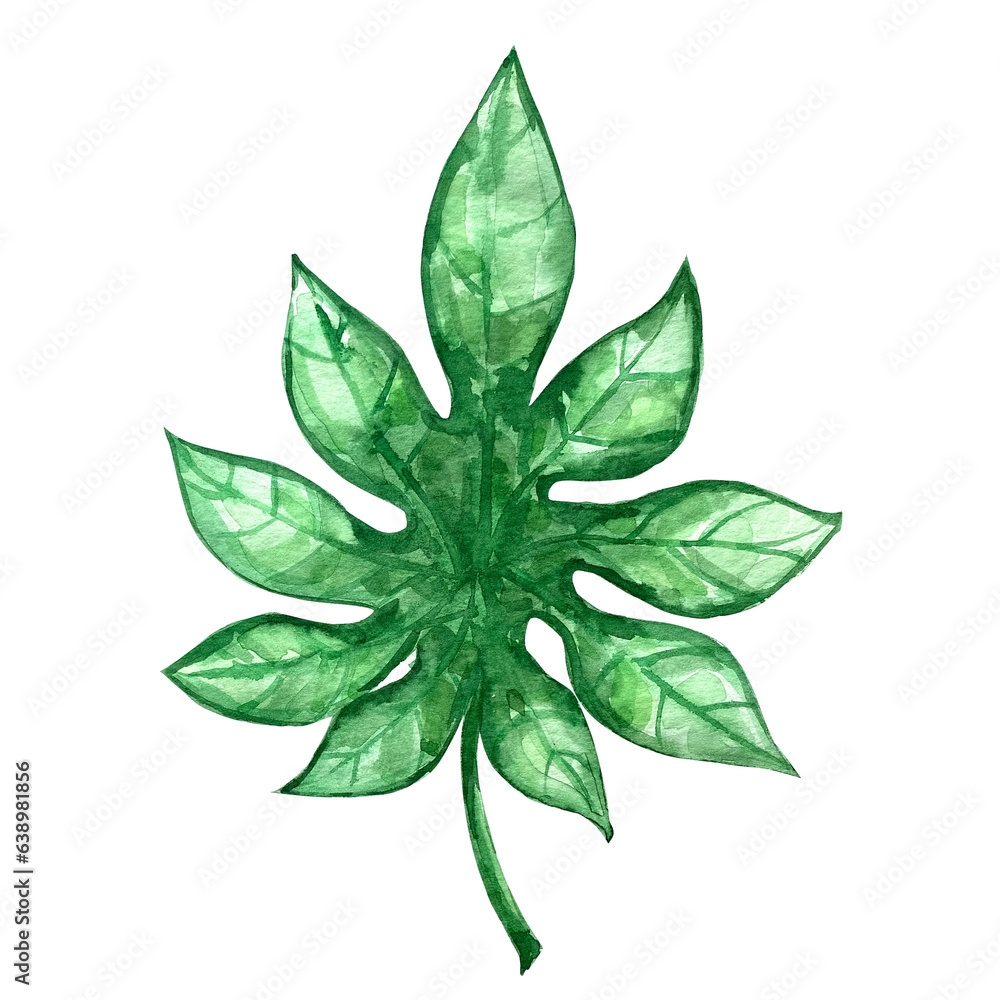 Watercolor exotic green leafs illustration clip art set Watercolor exotic green leafs illustration clip art set