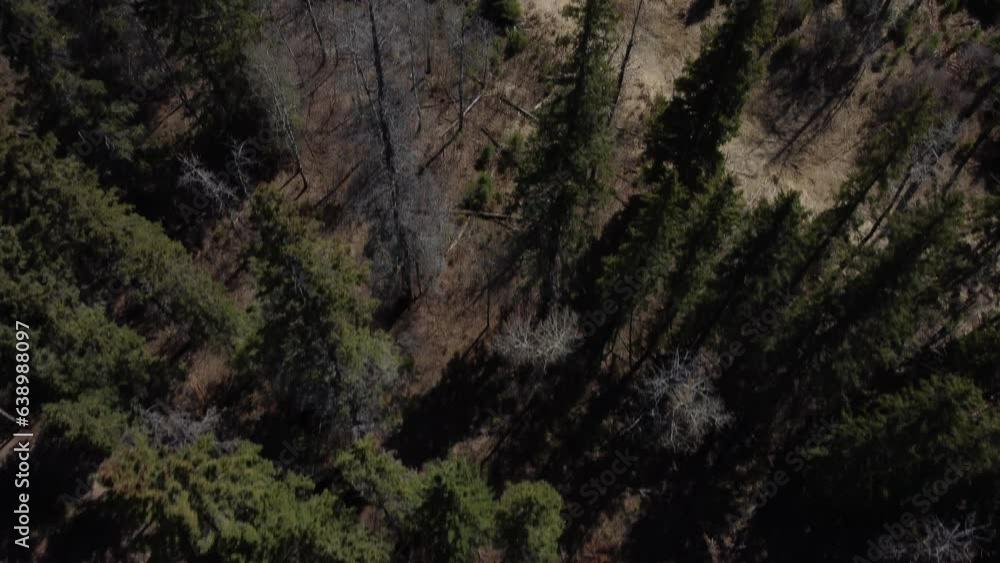 Red Deer's Serene Oasis: Aerial Views of Nature, Lake, and Sky in Alberta's Heartland Red Deer's Serene Oasis: Aerial Views of Nature, Lake, and Sky in Alberta's Heartland