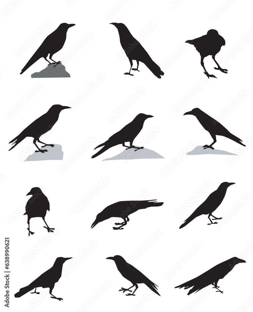 Crows Silhouette set Crows Silhouette set