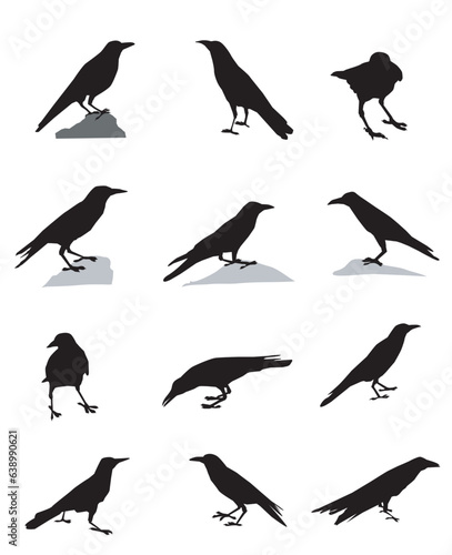 Crows Silhouette set 