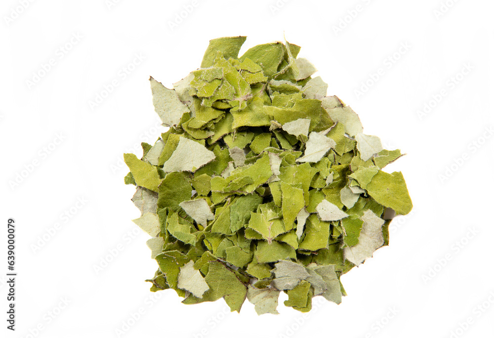 Φωτογραφία Dried Tussilago farfara( coughwort, tash plant, farfara) commonly known as coltsfoot believed to be natural cough remedy