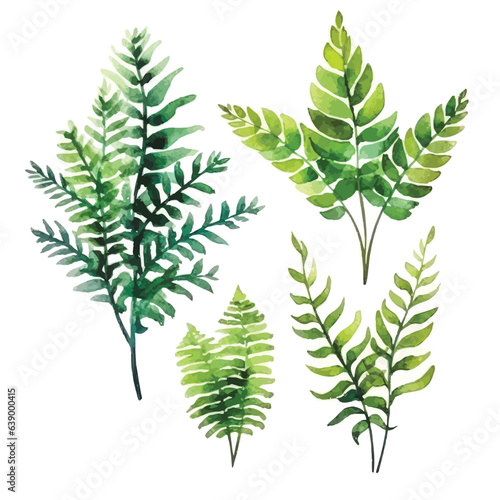 Botanical Beauty  Watercolor Colorful Fern Flower Collection  White Background