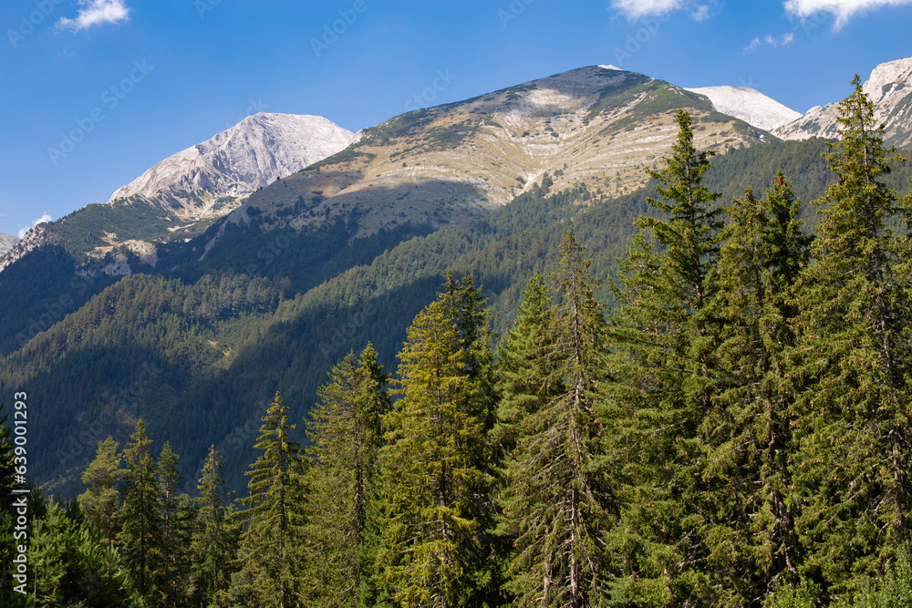 Fototapeta premium Forests spreading on hills of Pirin national park in Bulgaria