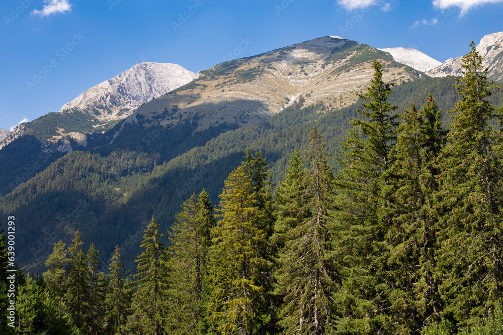 Forests spreading on hills of Pirin national park in Bulgaria