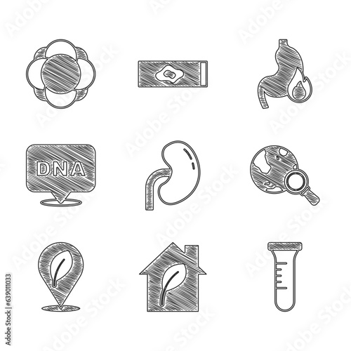 Set Human kidney, Eco friendly house, Test tube and flask, Magnifying glass with globe, Location leaf, DNA symbol, Stomach heartburn and Molecule icon. Vector