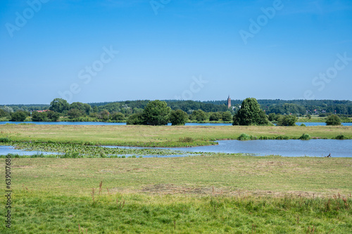 Nature reserve with small water ponds, heather and grasses at the Dutch countryside around Ingen, The Netherlands