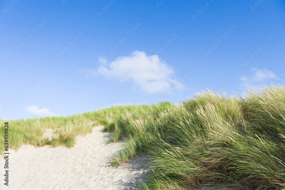 A cloud above green dunes in the Netherlands A cloud above green dunes in the Netherlands
