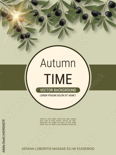 Olive tree branch with leaves and ripe fruits vector illustration. Design for banner, flyer, promo poster, discount card