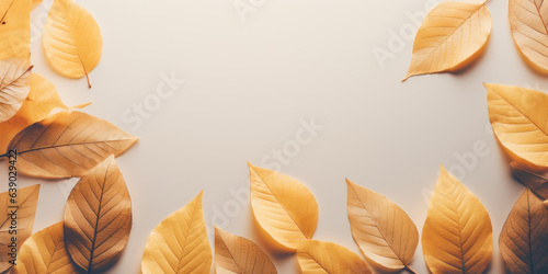 frame of yellow and orange autumn leaves, flat lay style