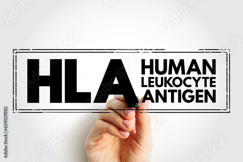 HLA Human Leukocyte Antigen - complex of genes on chromosome 6 in humans which encode cell-surface proteins, acronym text stamp concept background photo