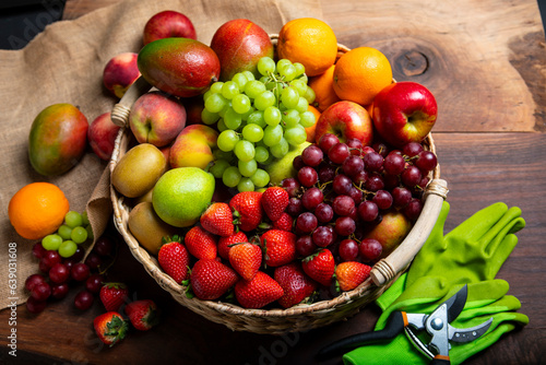 Fotografie Close-up of Just picked organic fresh fruit assortment in a basket