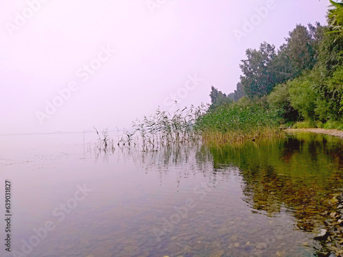 fog on the  lake