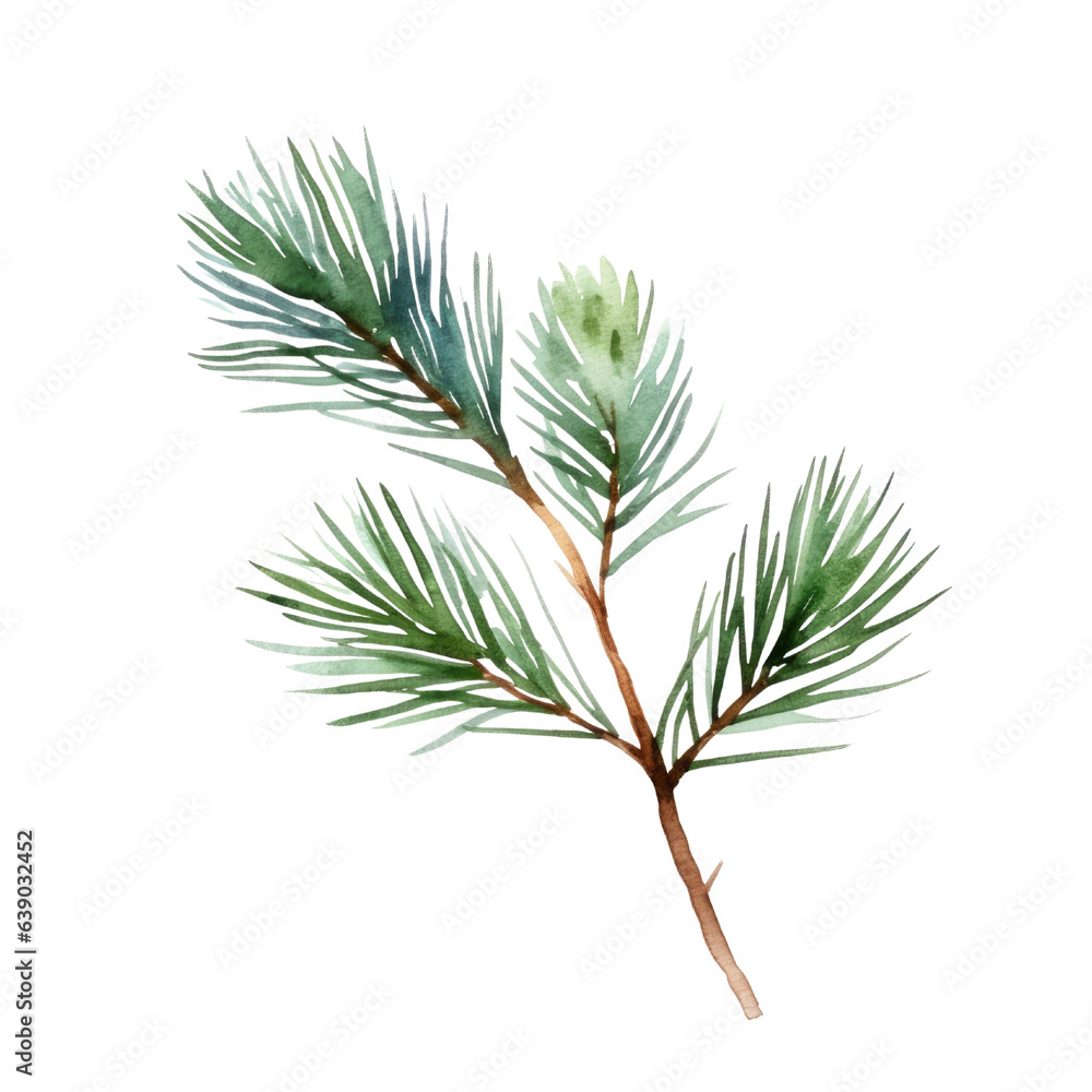 Pine branch watercolour illustration. clipart for design. Christmas elements. isolated on transparent background. Generative ai Pine branch watercolour illustration. clipart for design. Christmas elements. isolated on transparent background. Generative ai