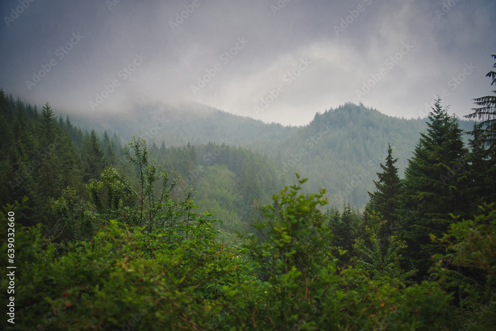 rain cloud in the mountains seen through trees