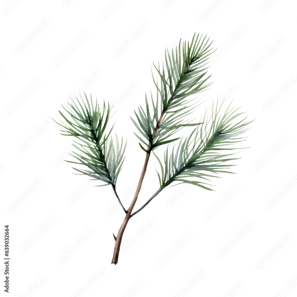 Pine branch watercolour illustration. clipart for design. Christmas elements. isolated on transparent background. Generative ai Pine branch watercolour illustration. clipart for design. Christmas elements. isolated on transparent background. Generative ai