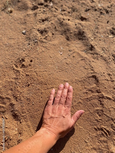 Elephant Foot Track in South Africa