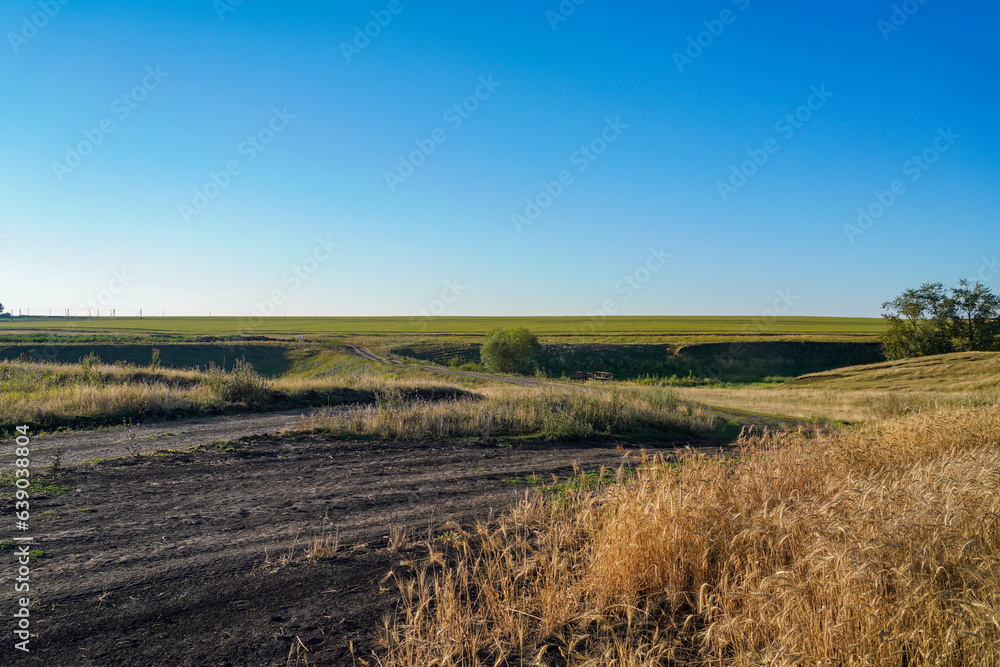 Fototapeta premium landscape in the countryside
