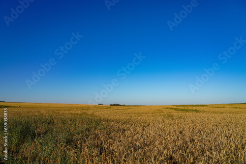 landscape in the countryside