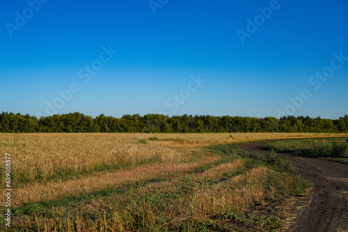 landscape in the countryside