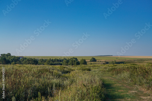 landscape in the countryside