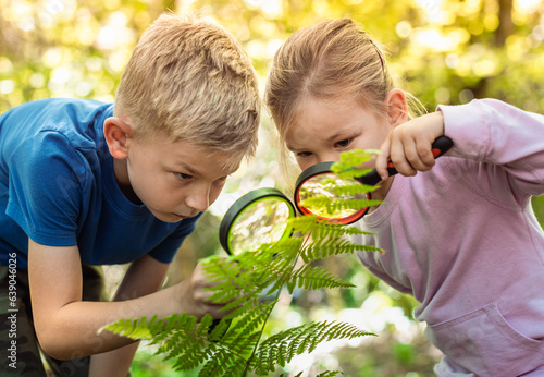 Slika na platnu Kids exploring in forest with a magnifying glass.