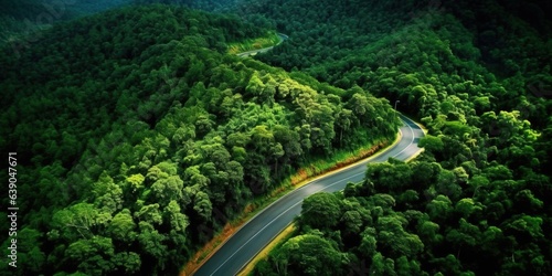 Aerial photo of empty meandering road in between forest