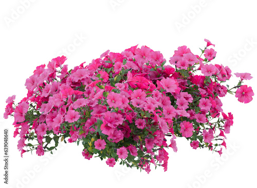 Various types of pink flowers bushes shrub