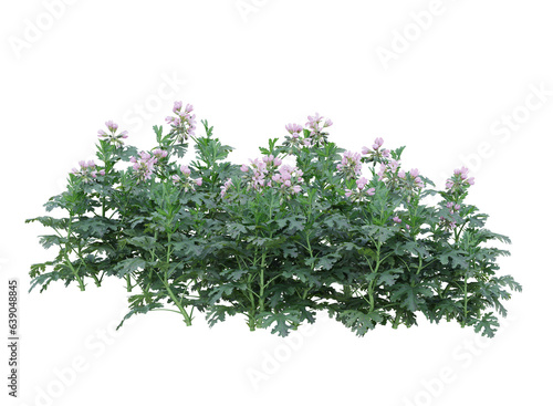 Various types of flowers grass bushes shrub and small plants isolated © Poprock3d