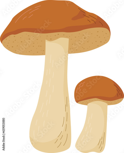 Aspen mushroom vector illustration. Edible mushrooms in forests
