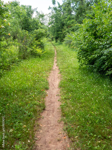 hiking trail on a spring day in the park